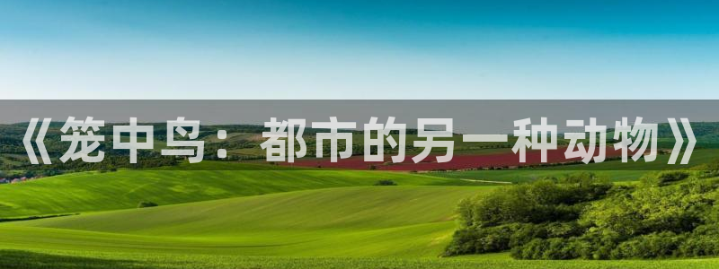 羞羞漫画喷水漫画无限金币：《笼中鸟：都市的另一种动物》