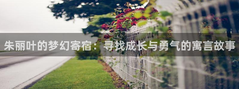 免费看羞羞漫画的网站：朱丽叶的梦幻寄宿：寻找成长与勇气的寓言故事