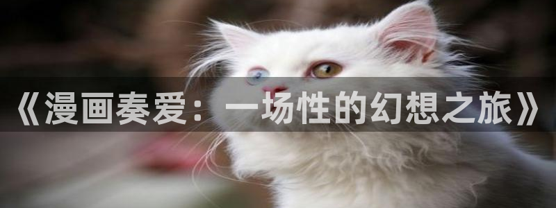 羞羞漫画在线看漫画网站入口：《漫画奏爱：一场性的幻想之旅》